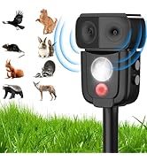 【foil】害獣駆除　英語　4枚セット Amazon.co.jp: foil害獣駆除 英語 4枚セット E : DIY・工具